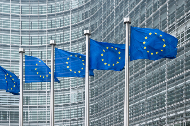 Feature Image for EU Pay Transparency Virtual Masterclass Series: Workshop 6 - The Future of Global Pay Equity and Transparency